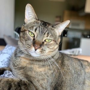 Meet your Posher, Brianna